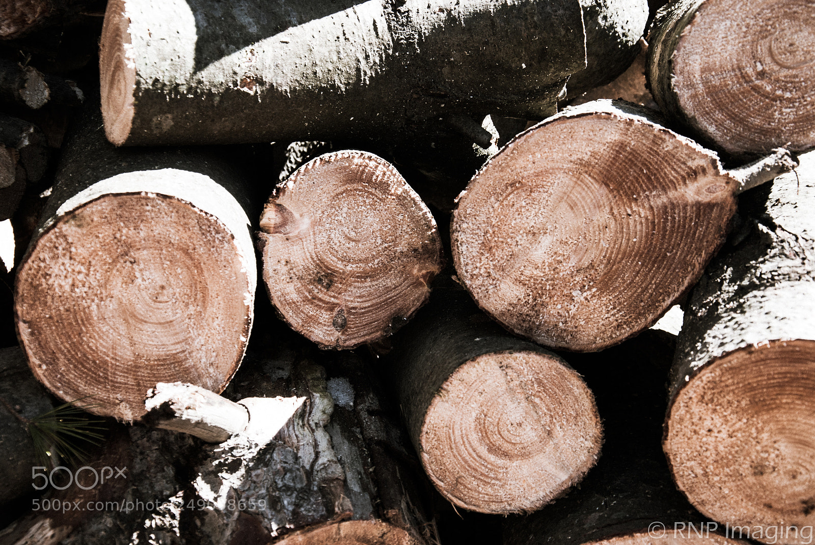 Nikon D200 sample photo. Wood pile photography