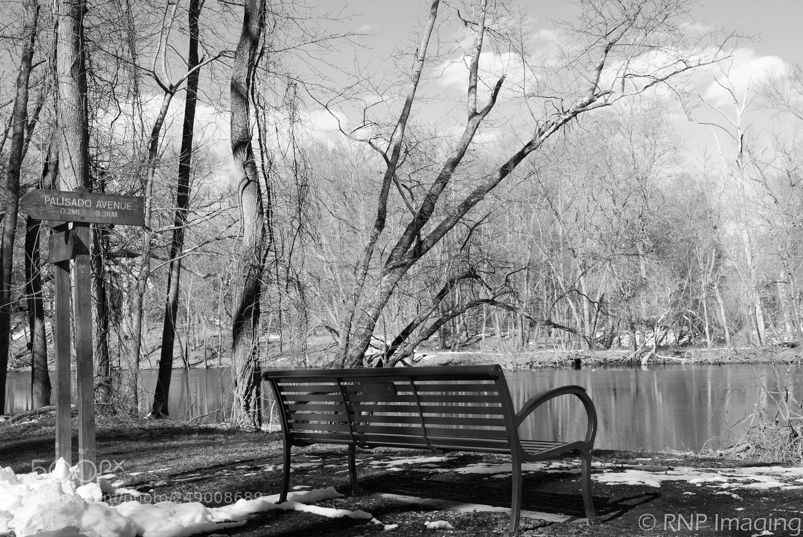 Nikon D200 sample photo. Park bench photography