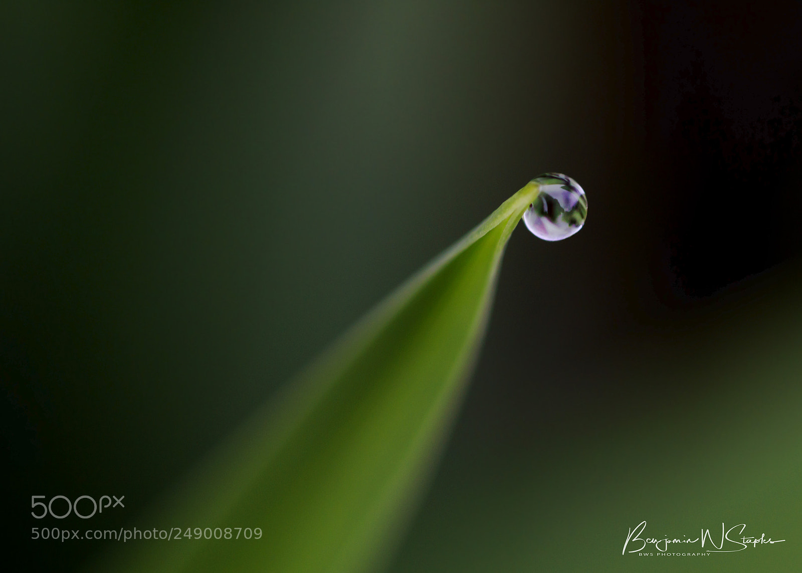Canon EOS 80D sample photo. Drop... photography