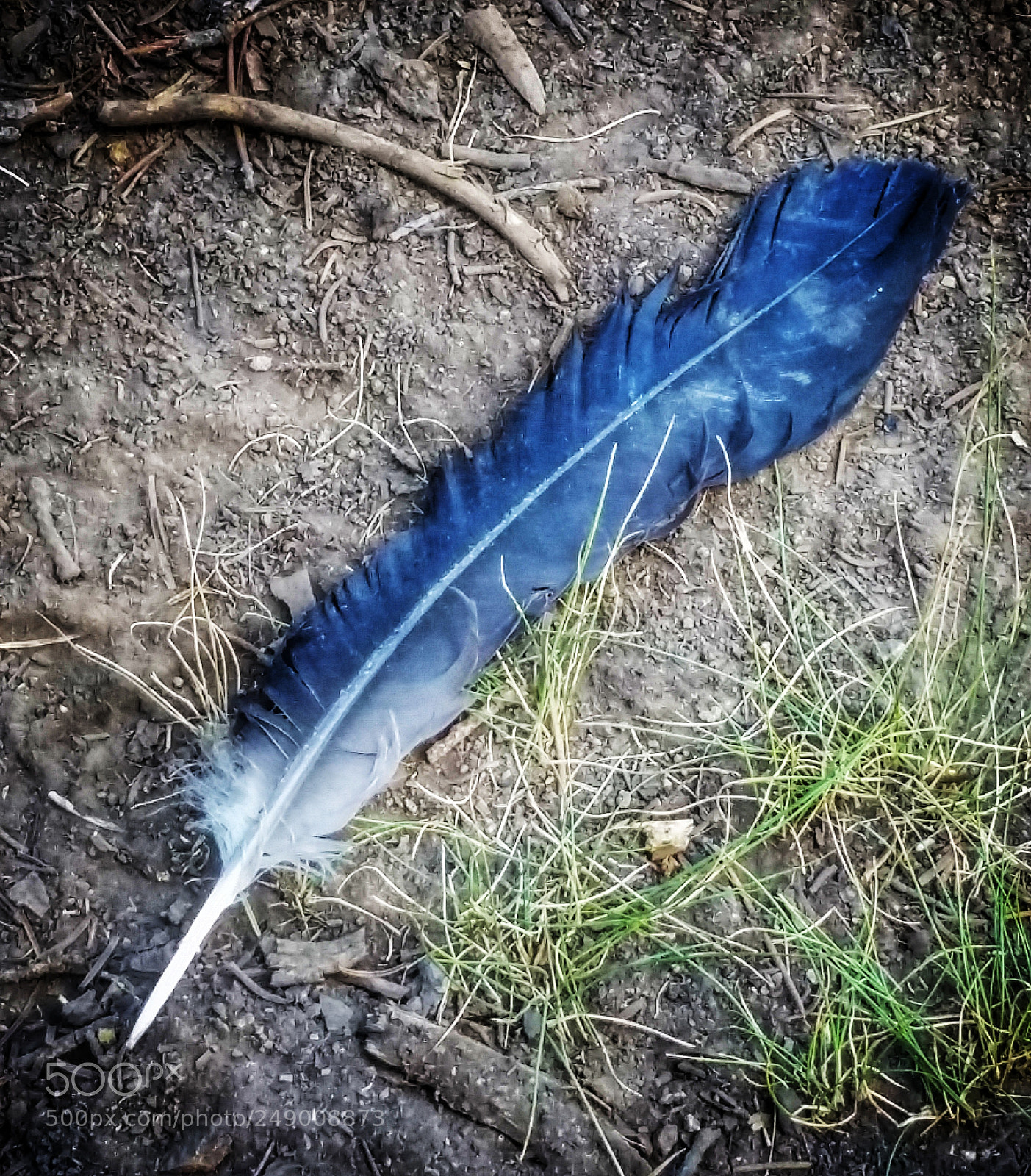 Samsung Galaxy S5 sample photo. Untitled photography