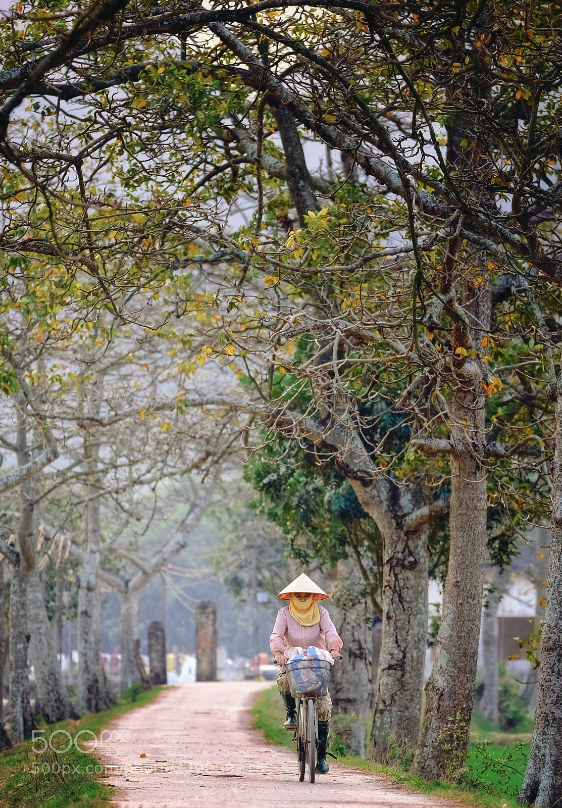 Fujifilm X-T20 sample photo. Untitled photography