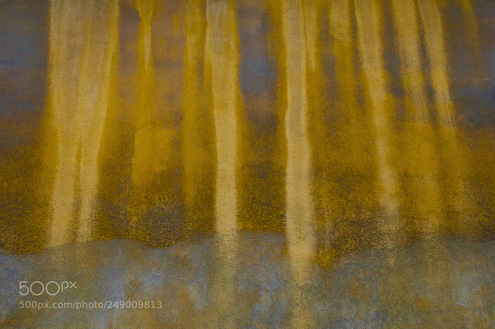 Nikon D300S sample photo. Golden forest photography