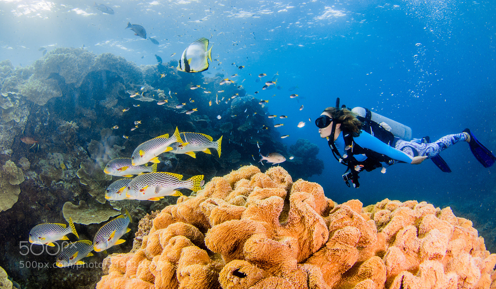 Canon EOS 7D Mark II sample photo. Hasting reef, coral garden. photography