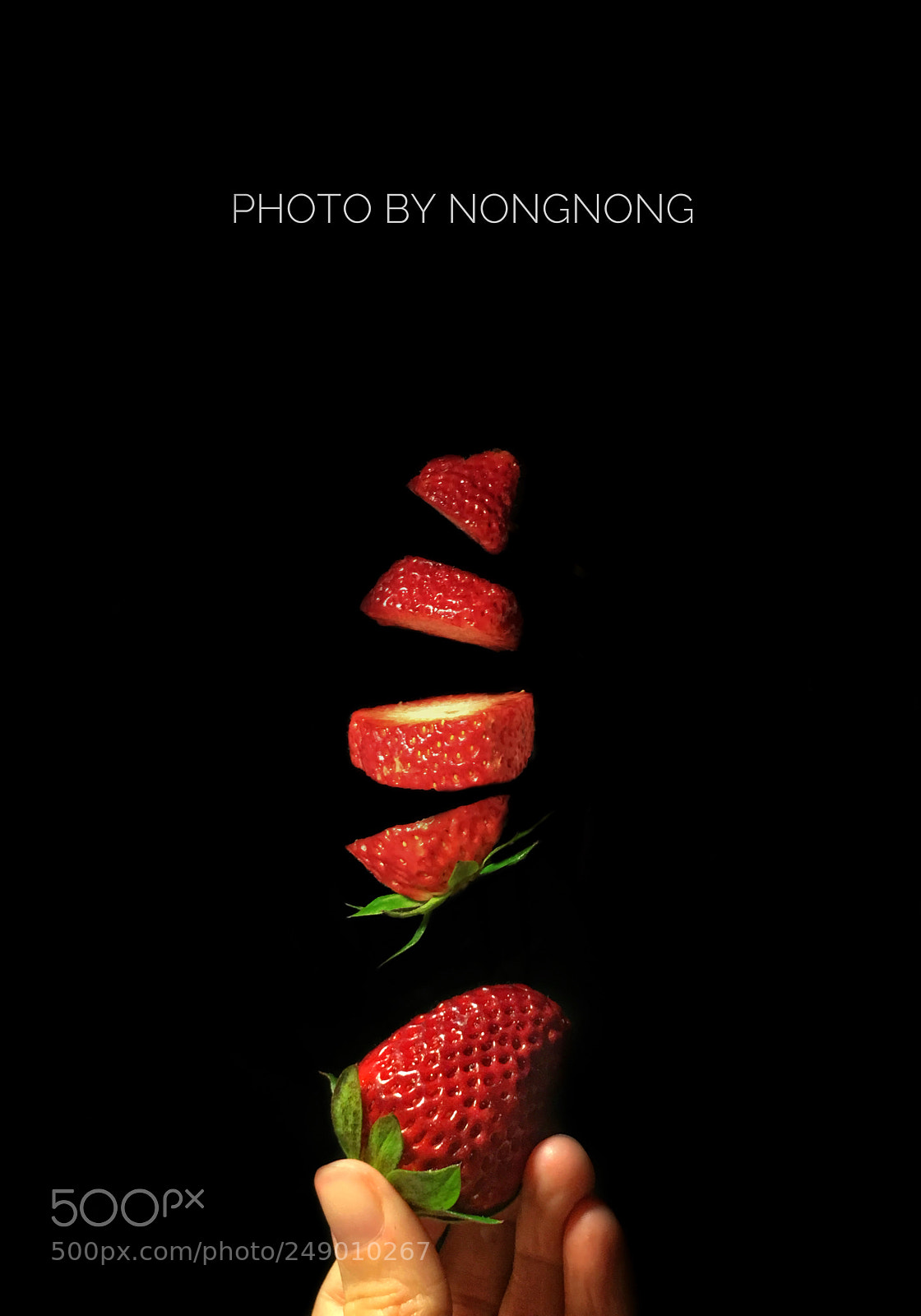 Apple iPhone 6s Plus sample photo. Untitled photography
