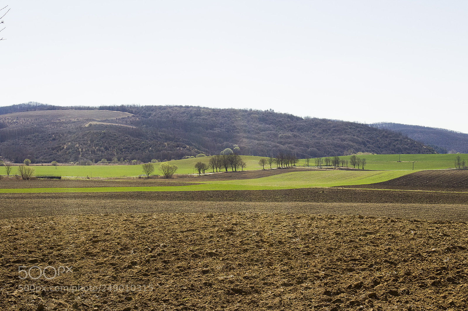 Canon EOS 1200D (EOS Rebel T5 / EOS Kiss X70 / EOS Hi) sample photo. Landscape of dreams, nograd photography