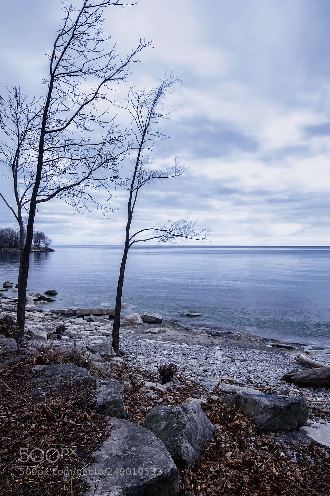 Fujifilm X-E2 sample photo. Lakeview park photography