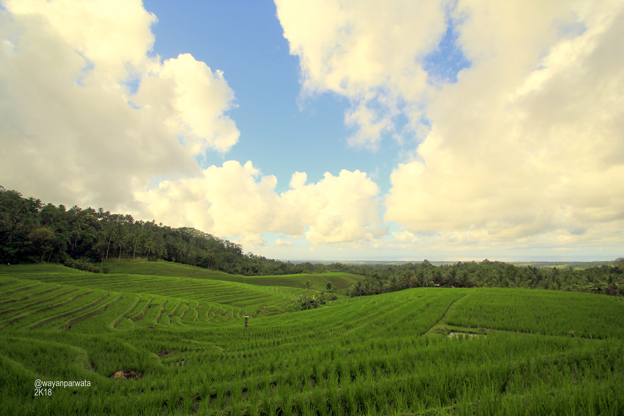 Canon EOS 60D + Sigma 10-20mm F3.5 EX DC HSM sample photo. Fields under the sky photography