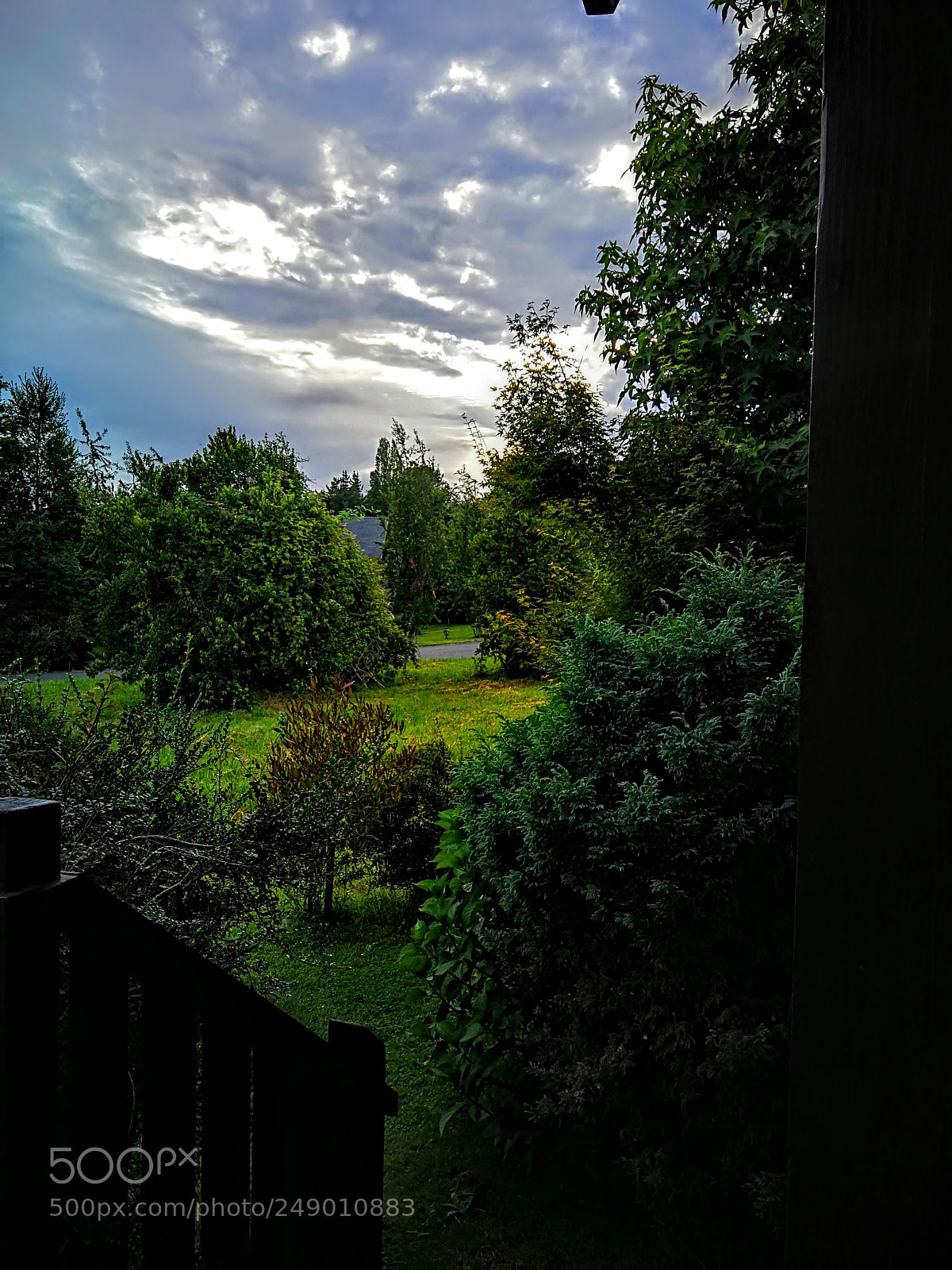 HUAWEI Mate 9 sample photo. Early beauty photography