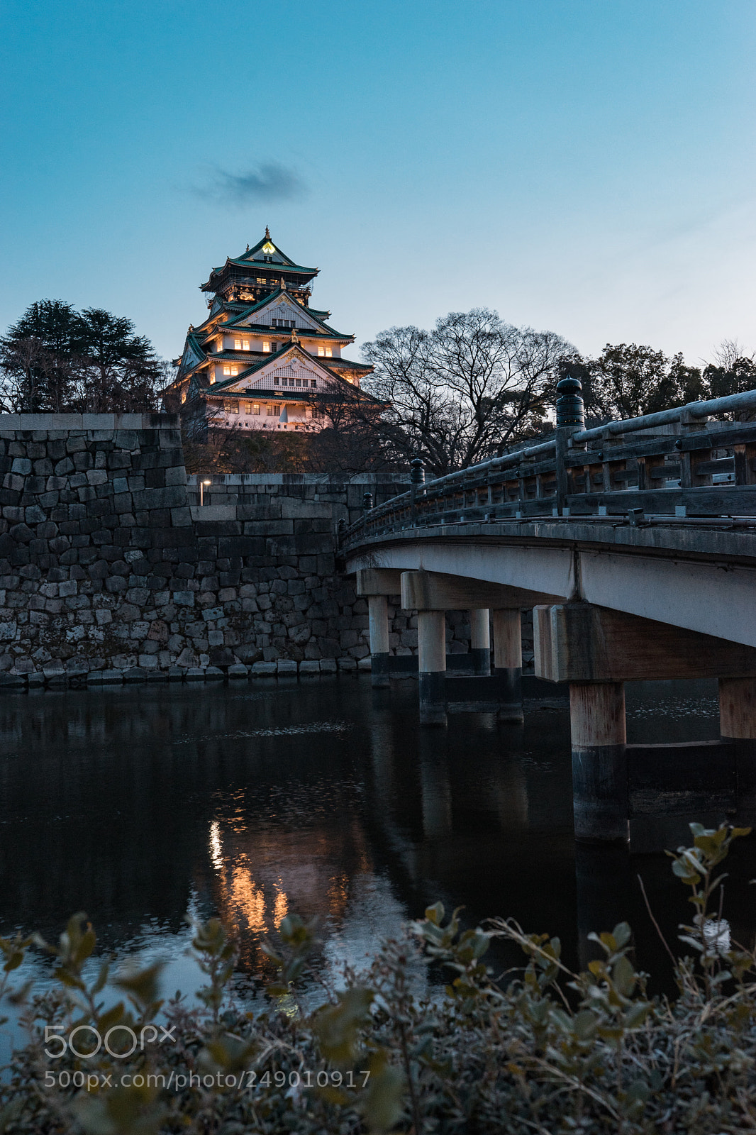 Sony a7 II sample photo. Osaka castle park in photography