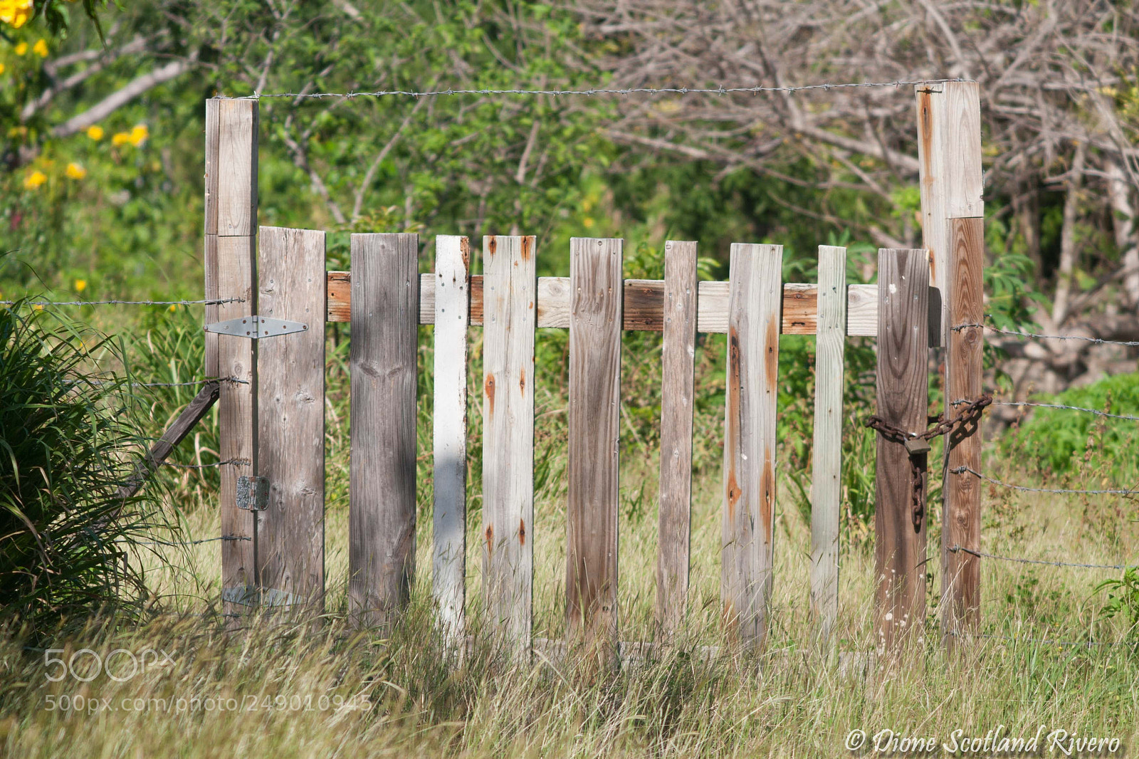 Canon EOS 30D sample photo. Old wooden fence photography