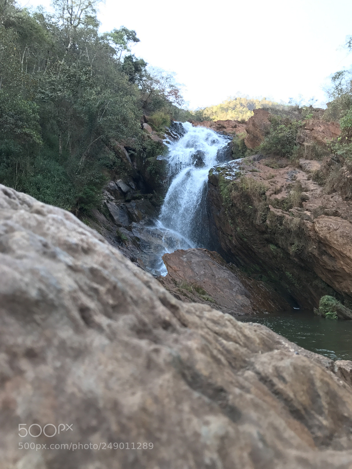 Apple iPhone 7 sample photo. Parque ecol gico da photography