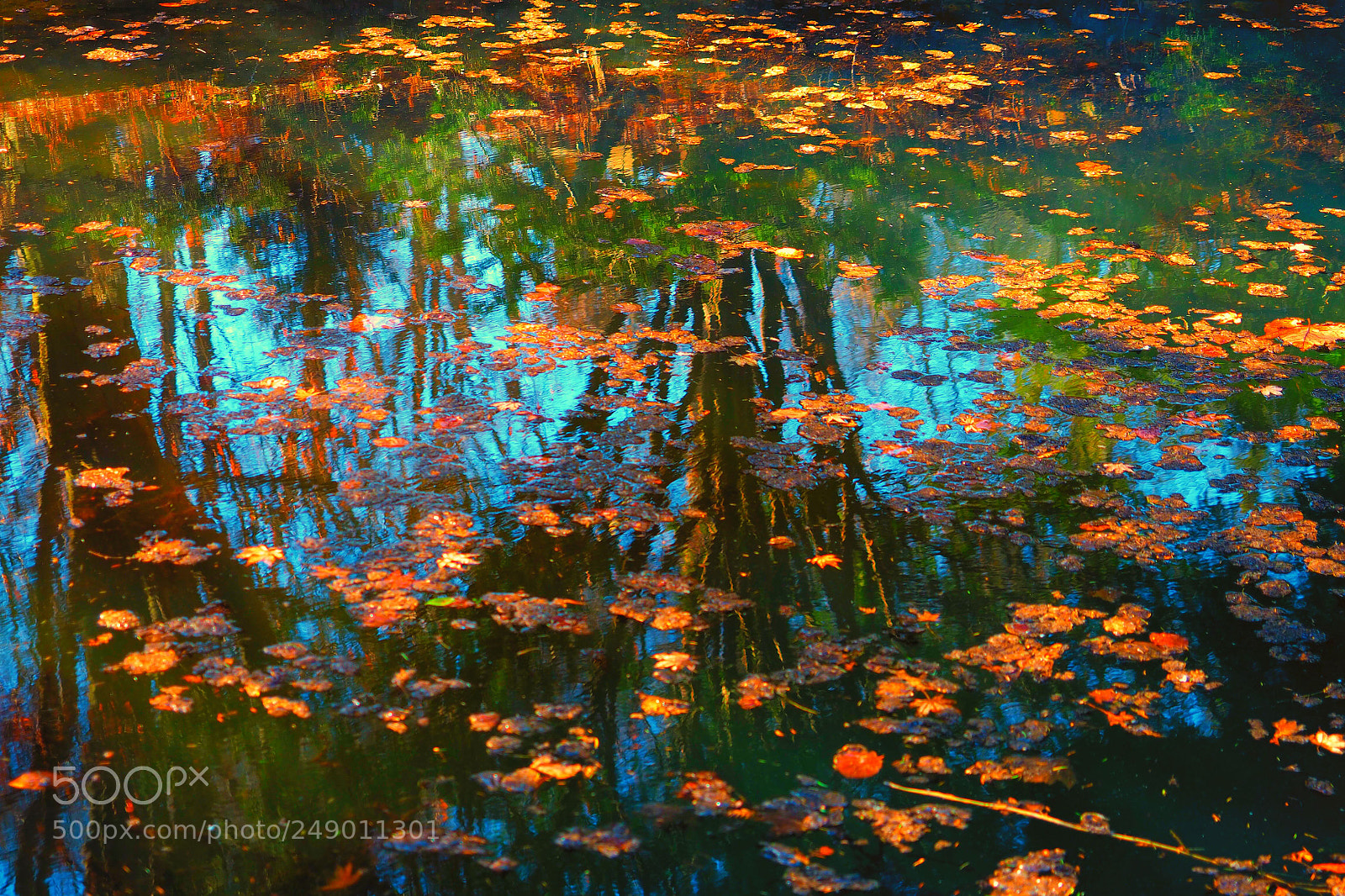 Olympus OM-D E-M1 sample photo. Autumn lake photography