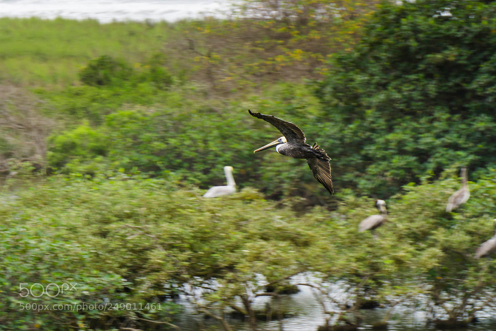 Sony a6000 sample photo. Dsc photography