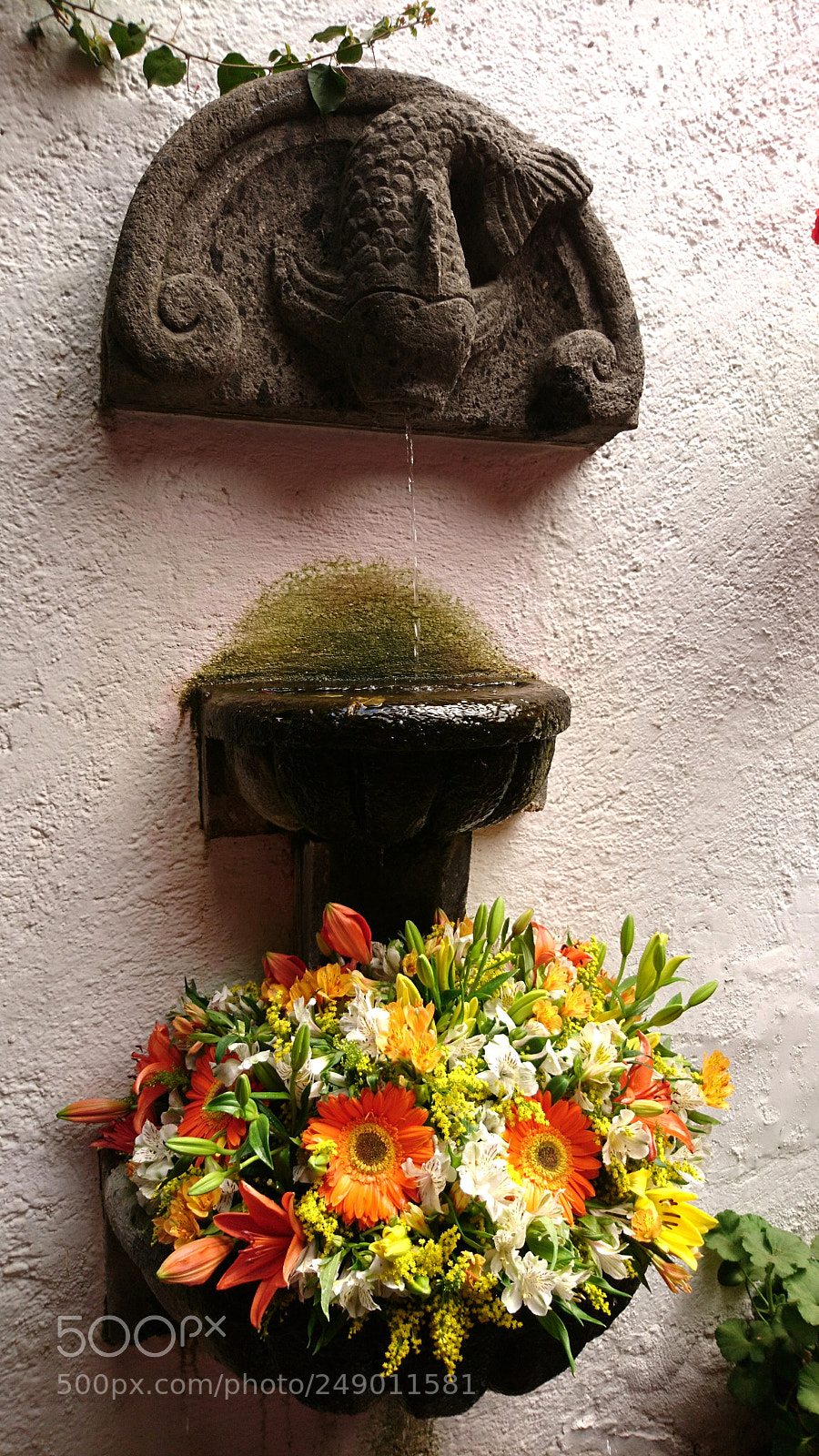 Sony Xperia X sample photo. Stone, water & flowers photography