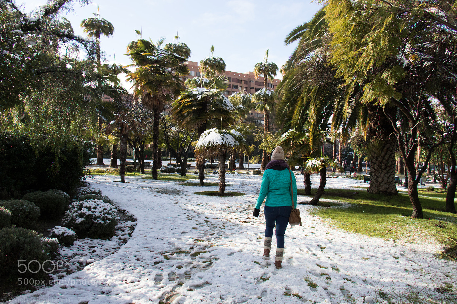 Canon EOS 750D (EOS Rebel T6i / EOS Kiss X8i) sample photo. Una mañana especial photography