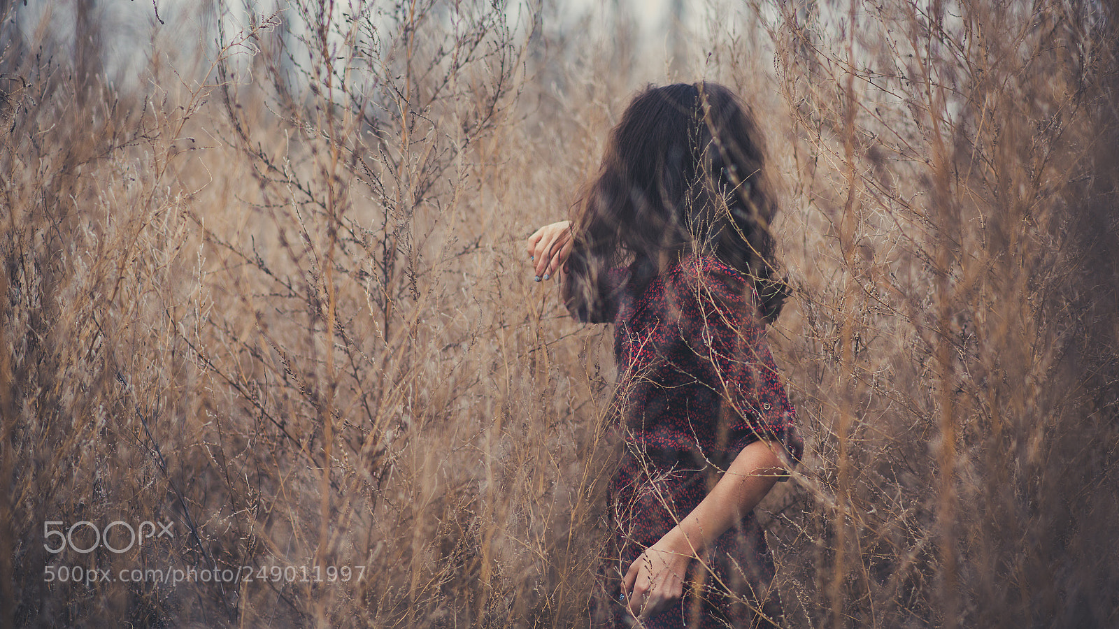 Nikon D810 sample photo. Lupita photography