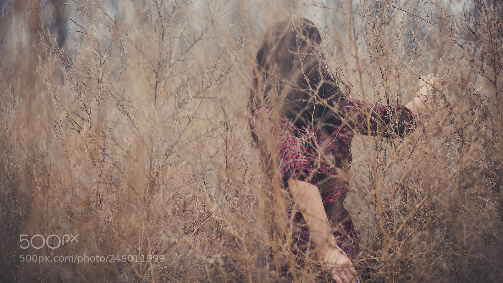 Nikon D810 sample photo. Lupita photography