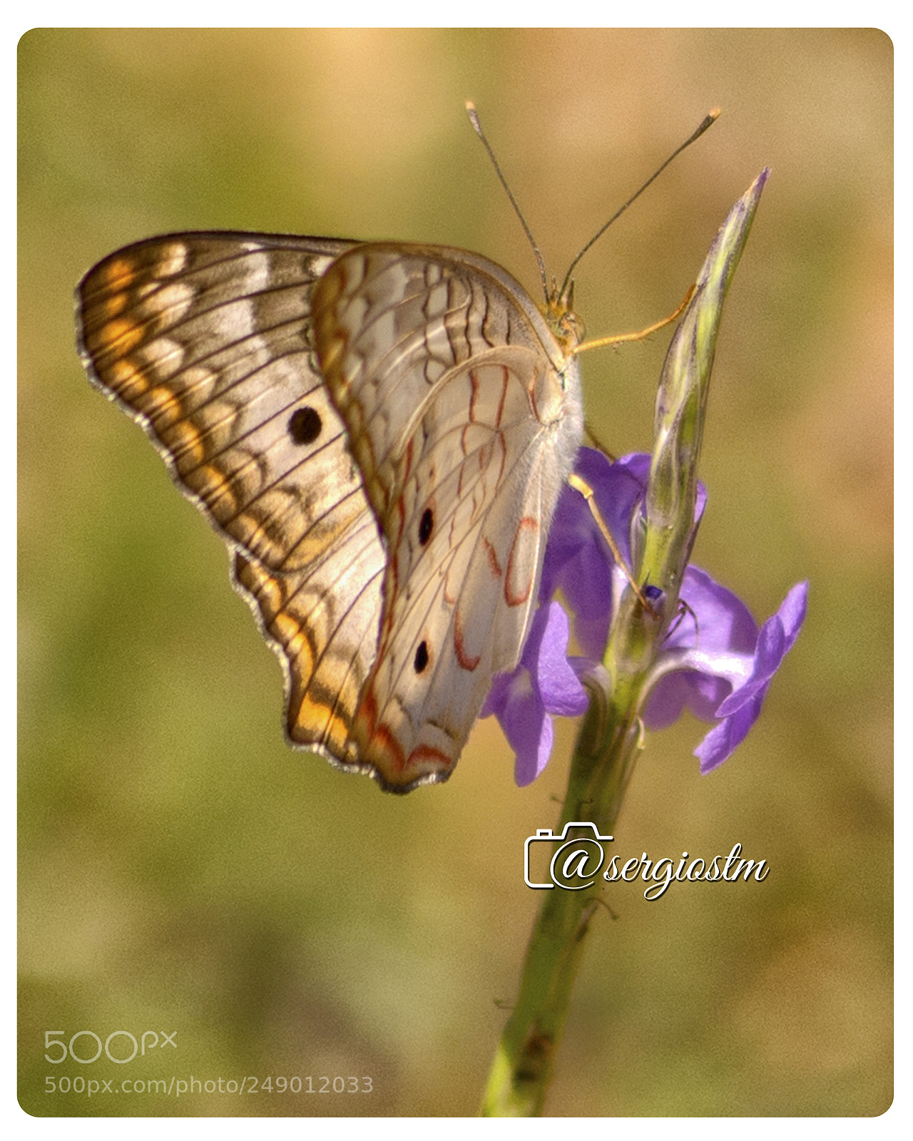 Nikon D7100 sample photo. Untitled photography