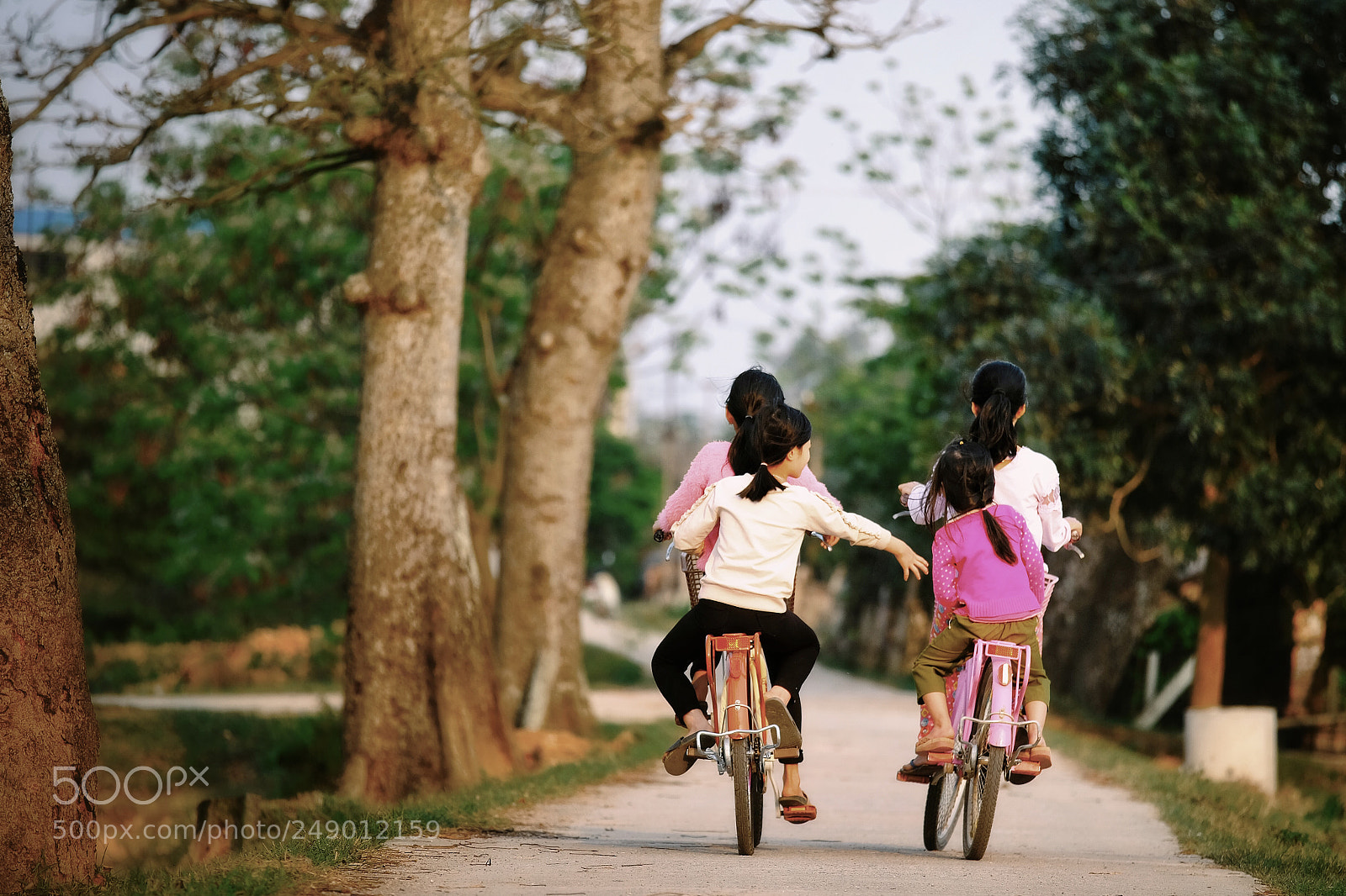 Fujifilm X-T20 sample photo. Untitled photography