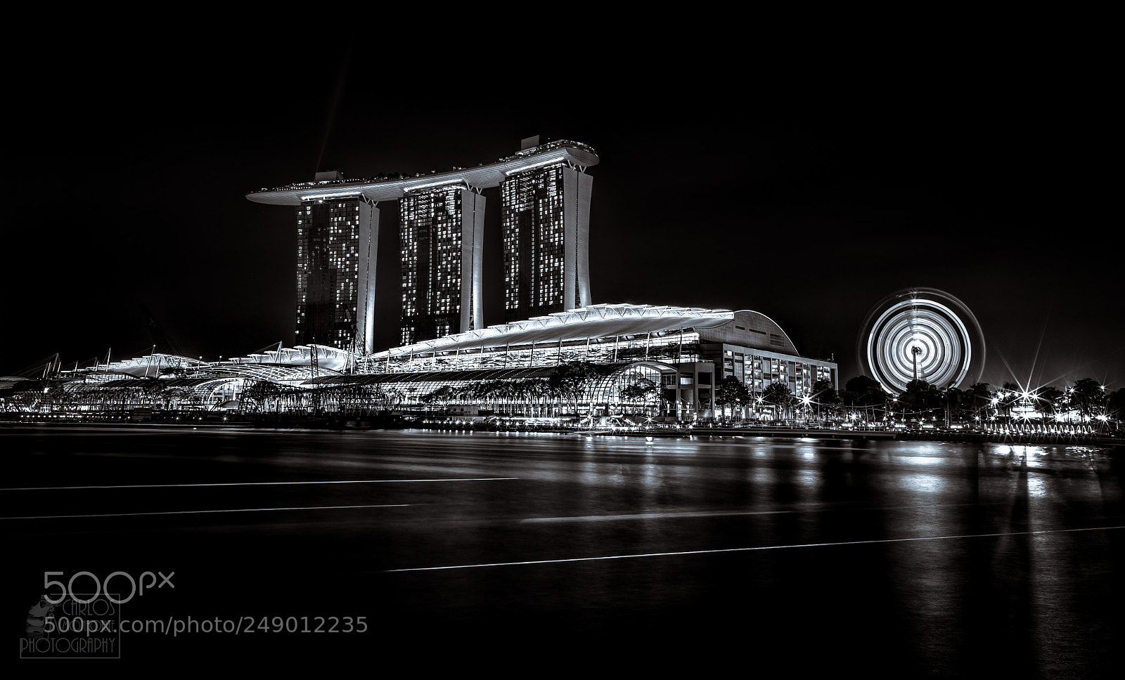 Canon EOS-1D X Mark II sample photo. Lights up. photography
