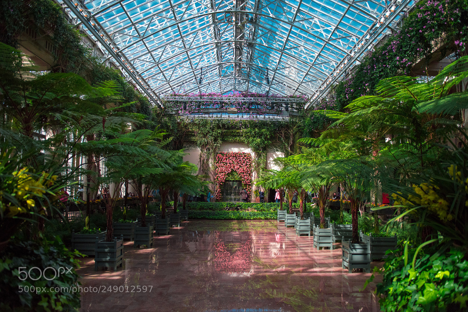 Nikon D810 sample photo. Longwood gardens exhibition hall photography