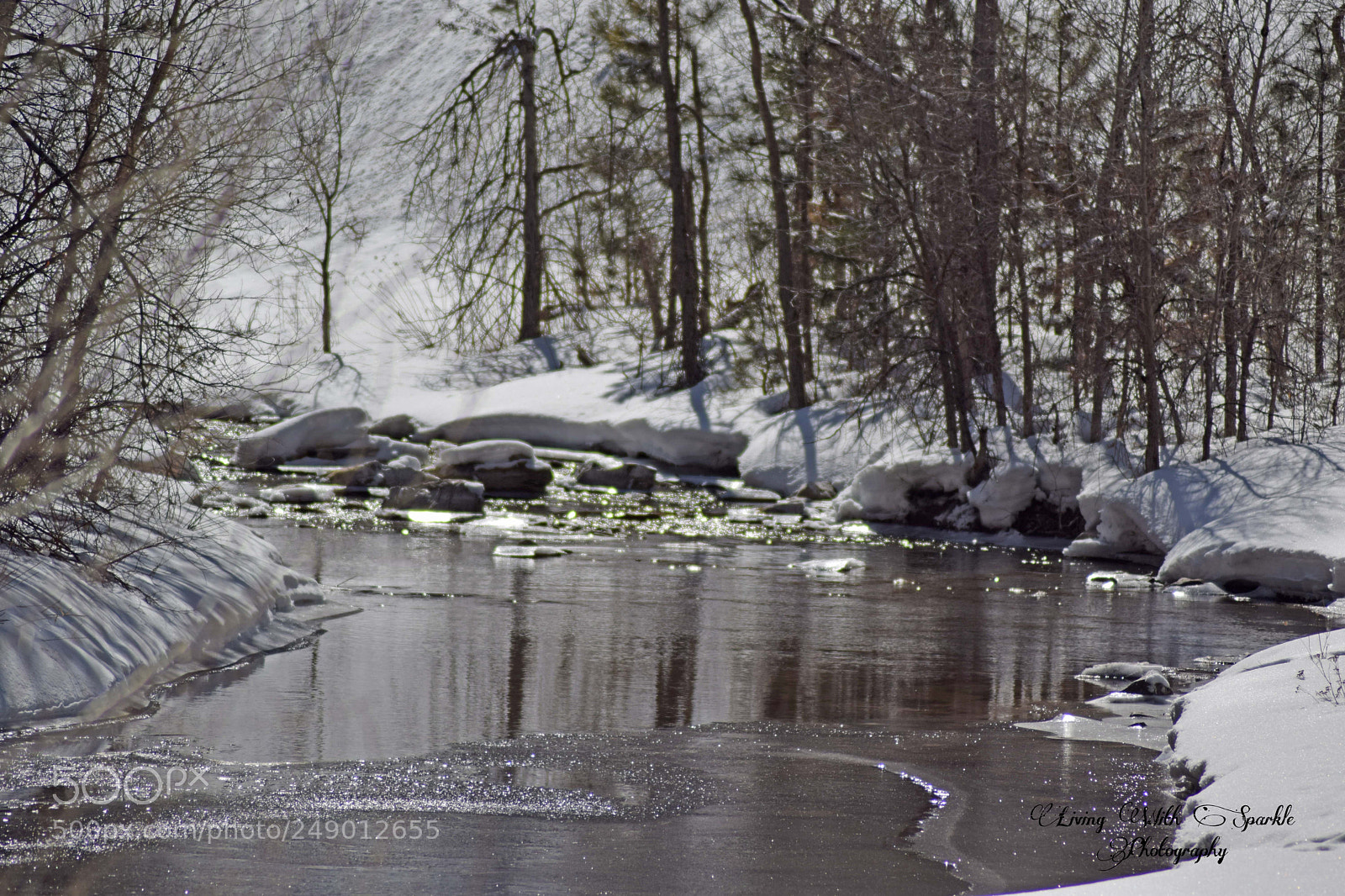 Nikon D5300 sample photo. Sparkling river photography