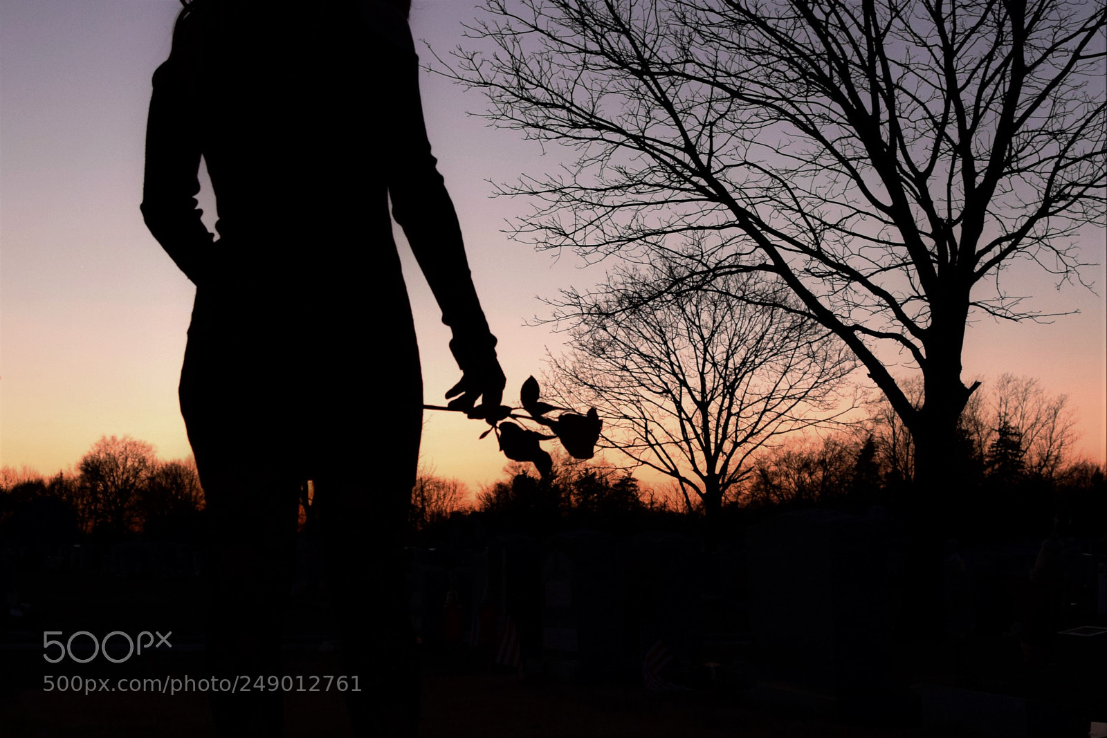 Nikon D3300 sample photo. Furtive flowergirl photography