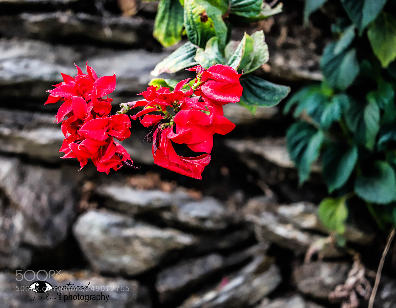 Canon EOS 6D Mark II sample photo. Red corner of the photography