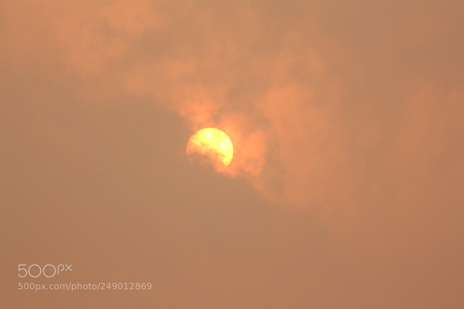 Canon EF-S 55-250mm F4-5.6 IS II sample photo. Img photography
