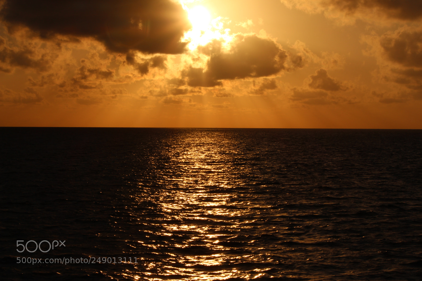 Canon EF-S 55-250mm F4-5.6 IS II sample photo. Img photography