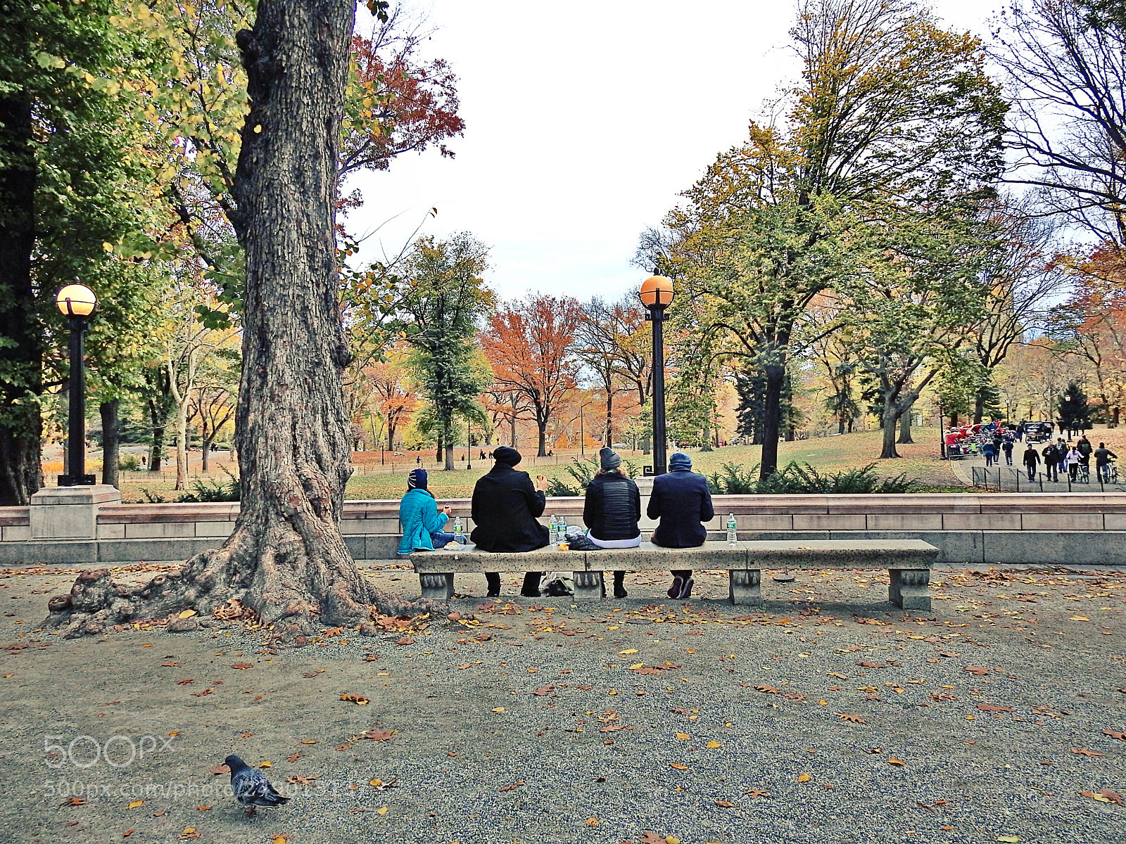 Nikon Coolpix P900 sample photo. Central park, nyc photography
