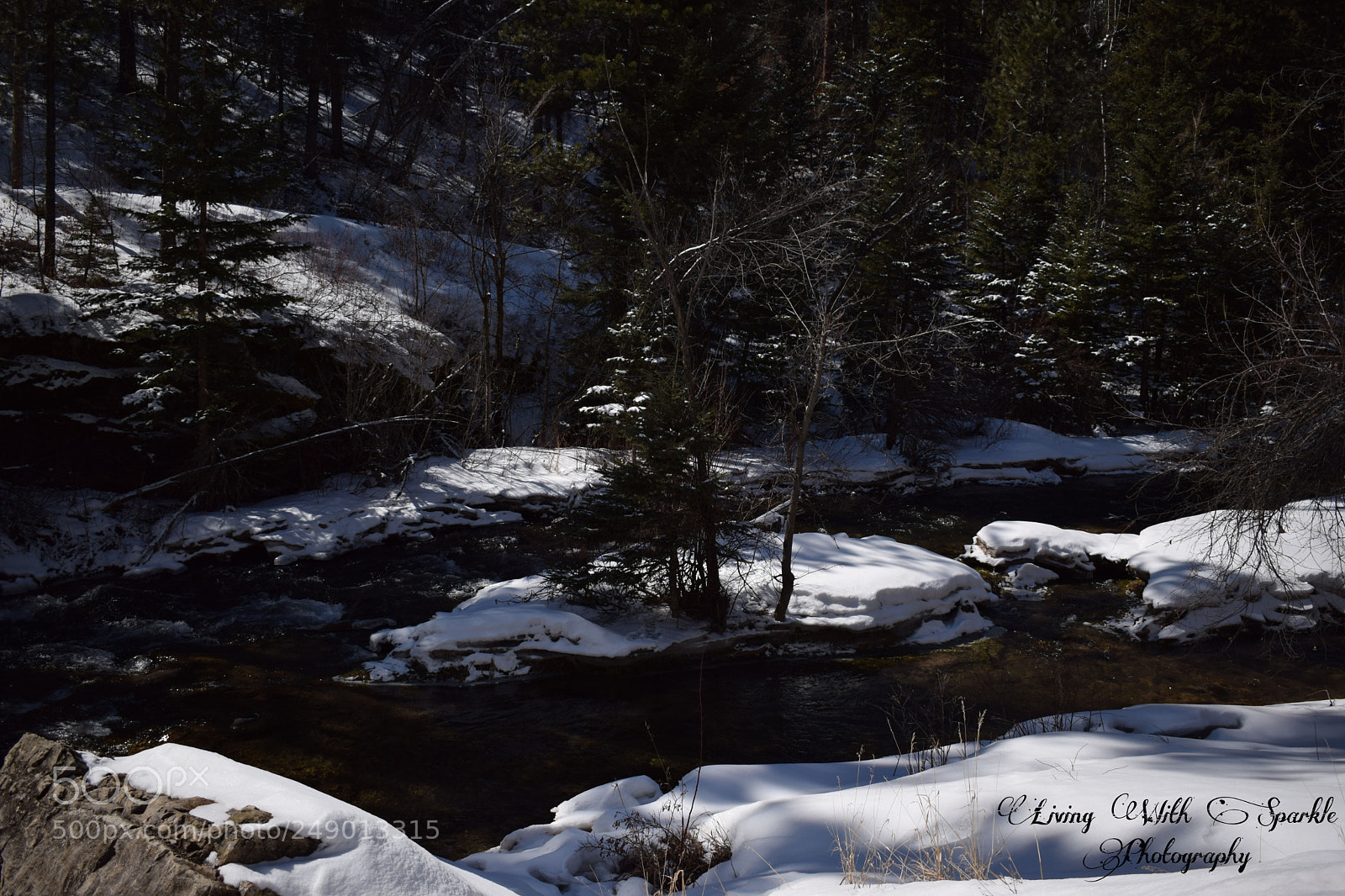 Nikon D5300 sample photo. Center piece photography
