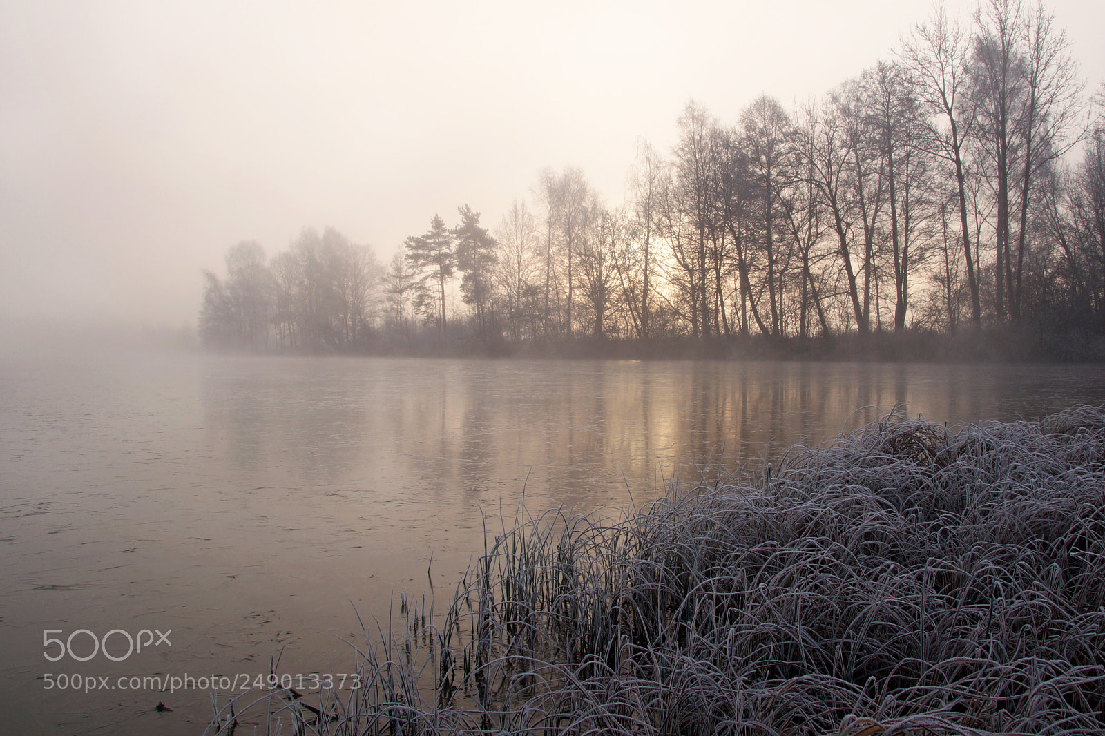 Sony SLT-A57 sample photo. Winter morning photography