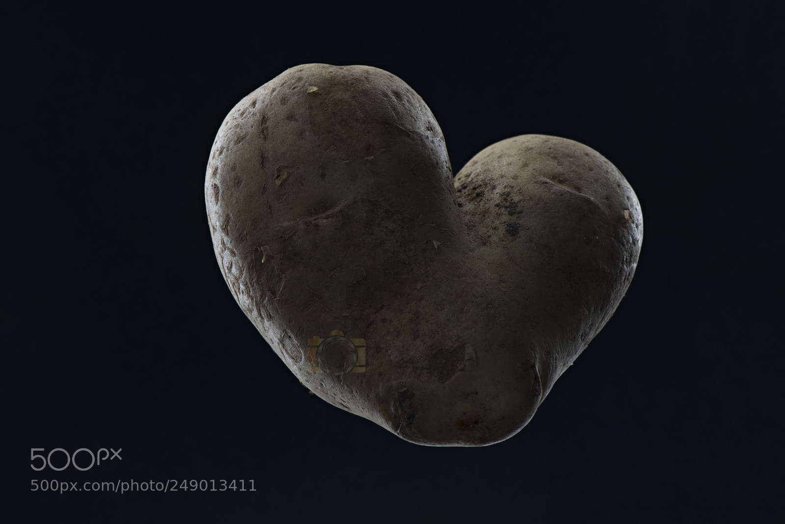 Nikon D810 sample photo. Potato photography