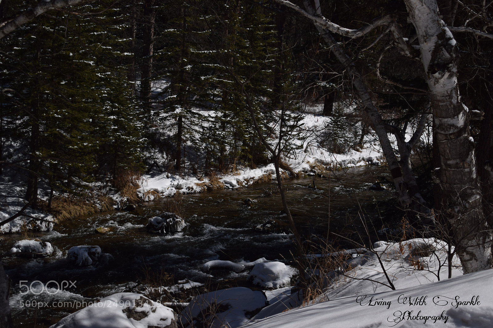 Nikon D5300 sample photo. A winters day photography