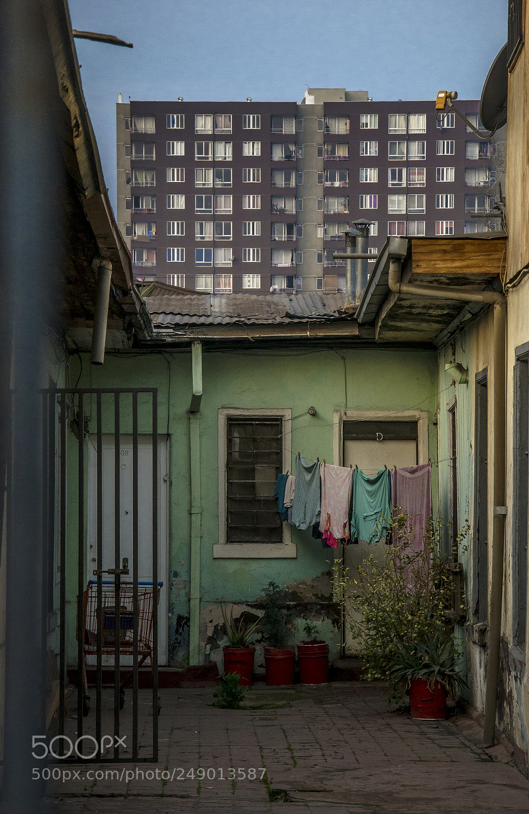 Nikon D7000 sample photo. Untitled photography