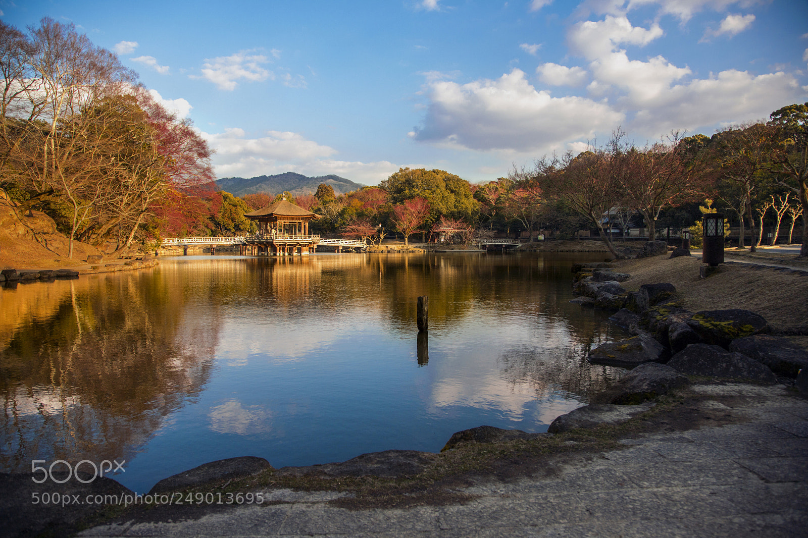 Canon EOS 6D Mark II sample photo. 奈良公园 photography
