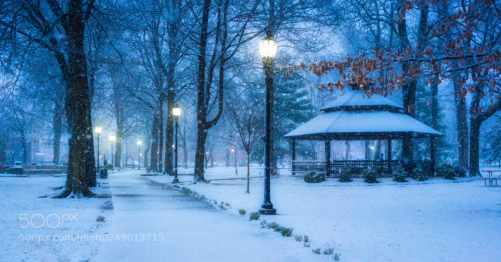 Sony a7R III sample photo. March snow. sunday evening photography