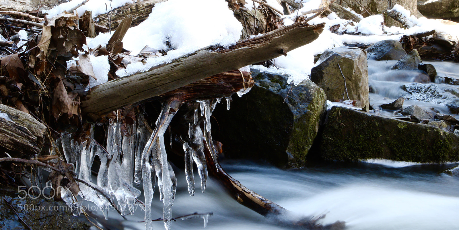 Canon EOS 760D (EOS Rebel T6s / EOS 8000D) sample photo. Cold water photography