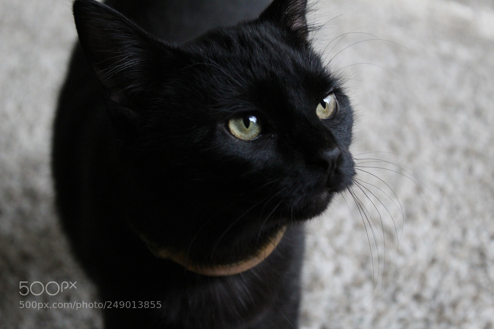 Canon EOS 1300D (EOS Rebel T6 / EOS Kiss X80) sample photo. Sombra photography