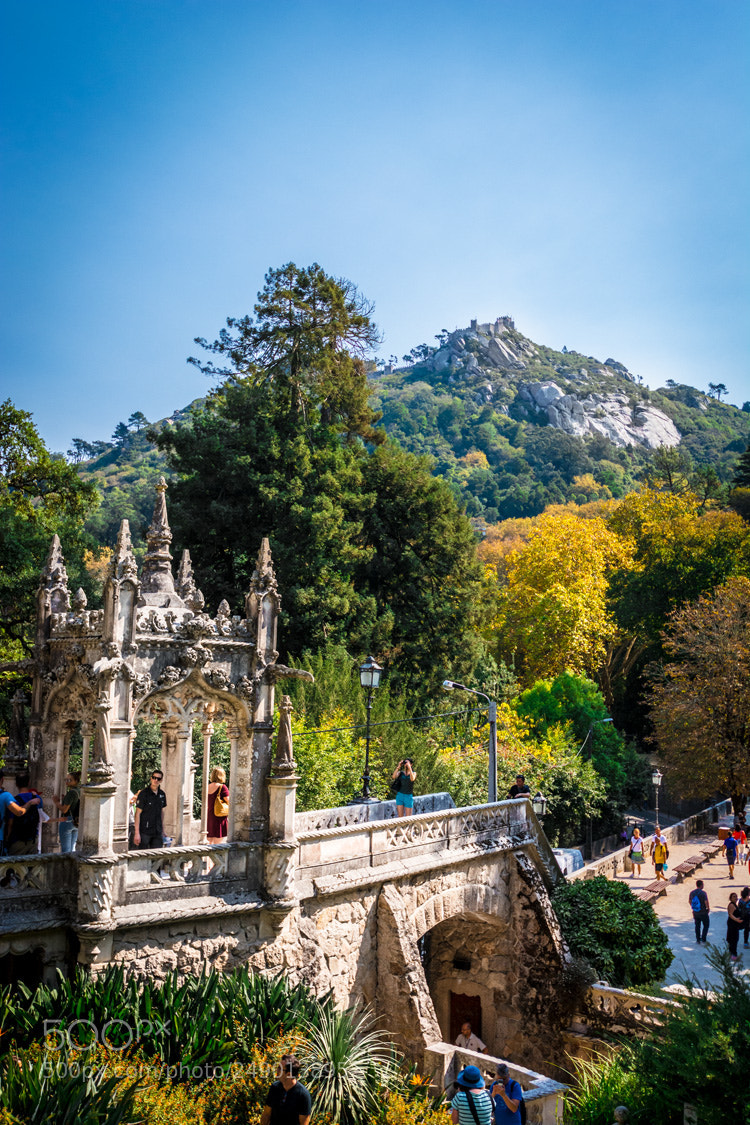 Nikon D5200 sample photo. Dsc photography