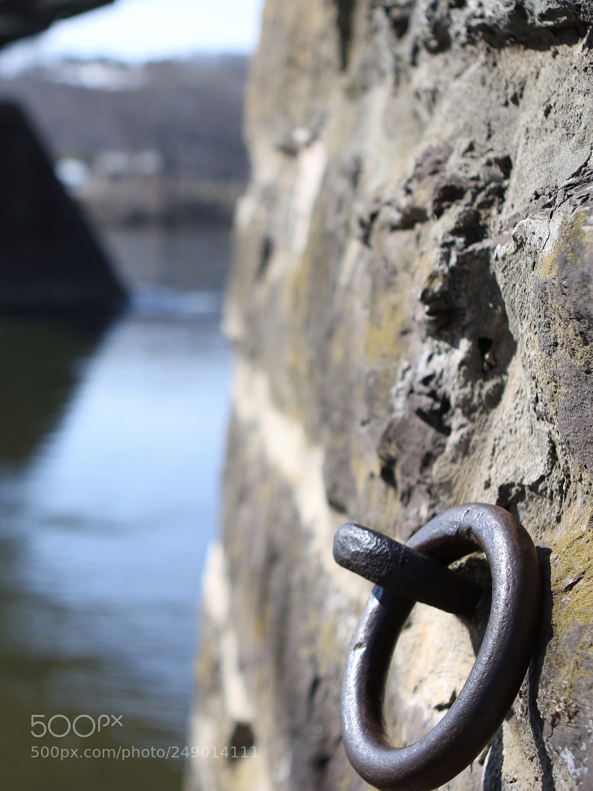 Canon EOS 760D (EOS Rebel T6s / EOS 8000D) sample photo. Hold your horses photography