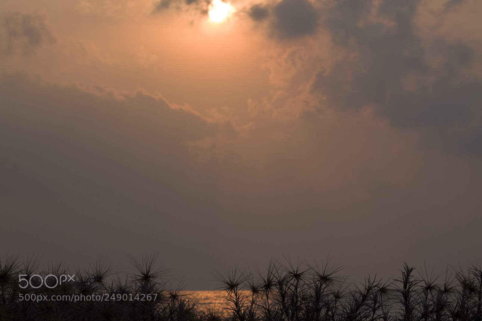 Canon EOS 1100D (EOS Rebel T3 / EOS Kiss X50) sample photo. Golden sky during sunrise photography