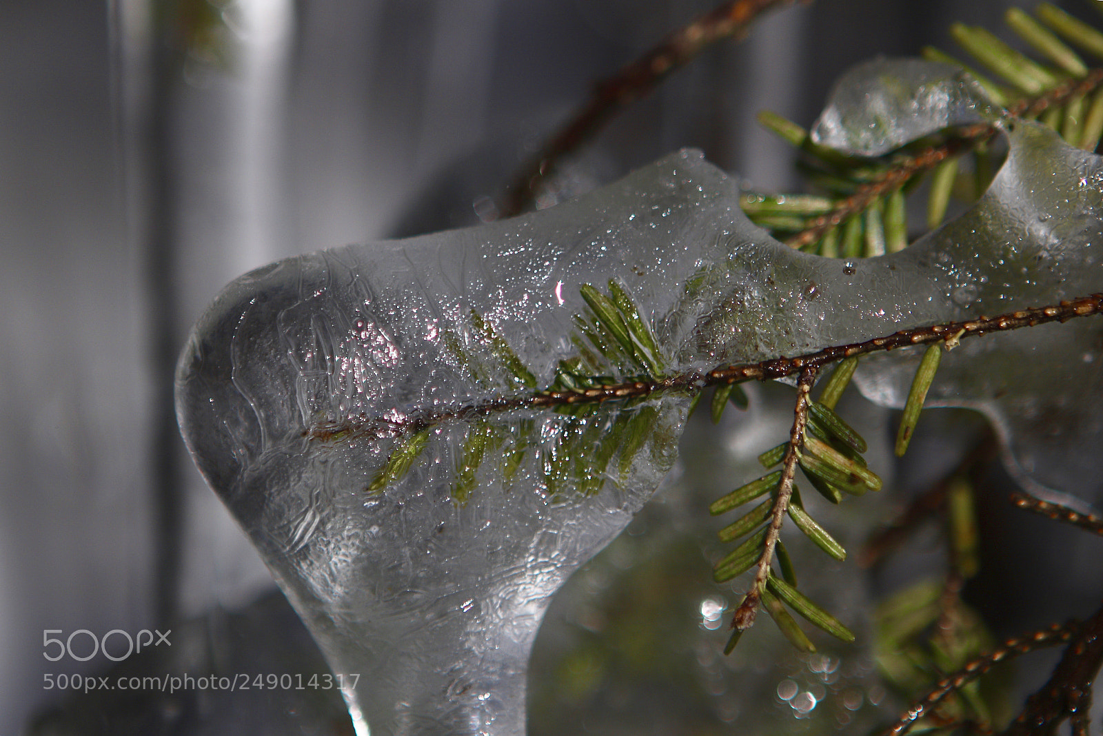 Canon EOS 760D (EOS Rebel T6s / EOS 8000D) sample photo. Melted photography