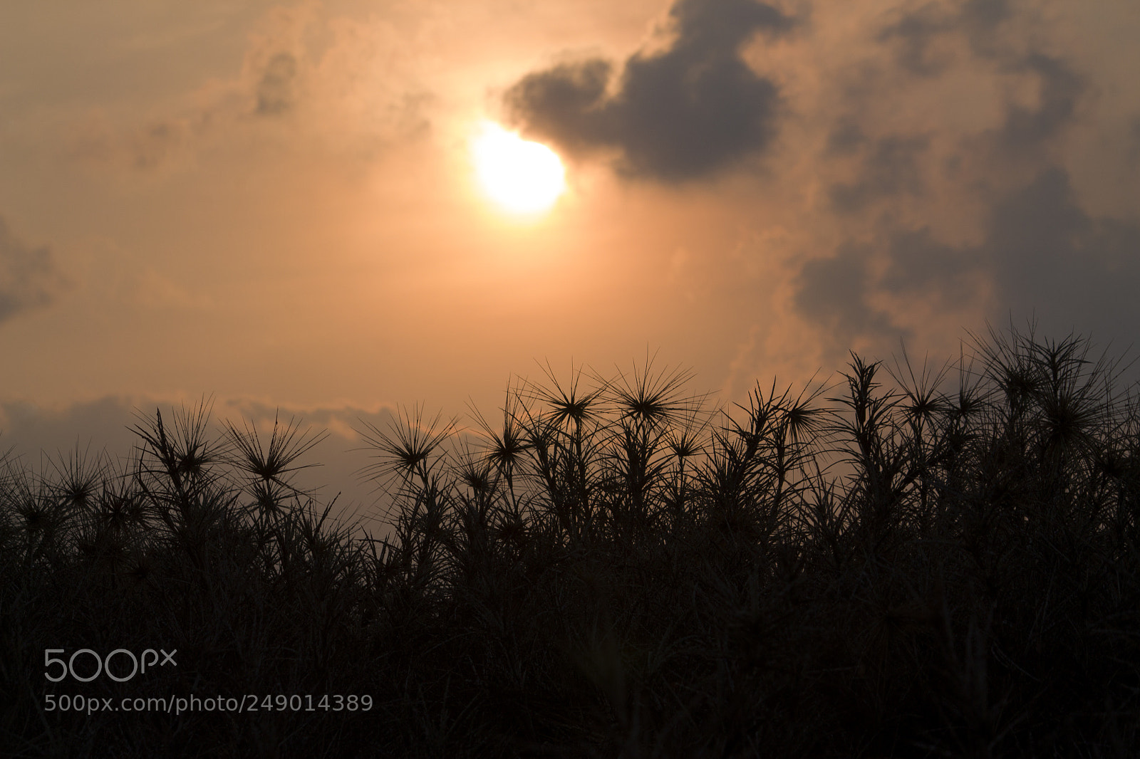 Canon EOS 1100D (EOS Rebel T3 / EOS Kiss X50) sample photo. Sunrise at pulicat, tamil photography