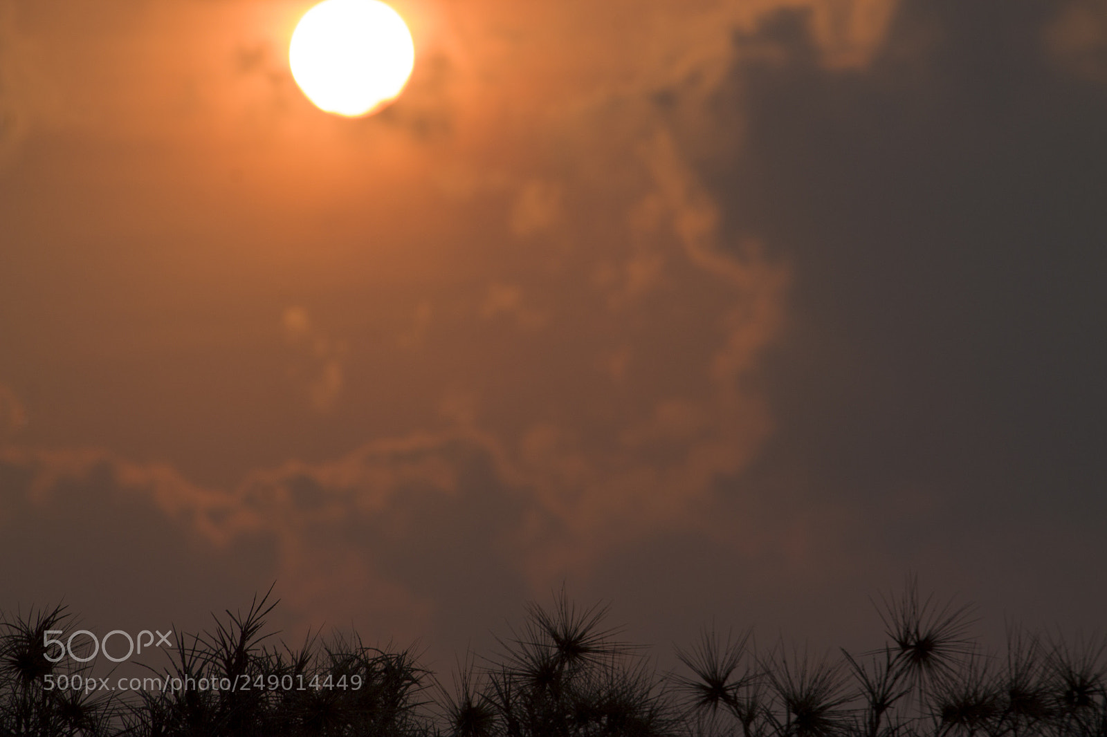 Canon EOS 1100D (EOS Rebel T3 / EOS Kiss X50) sample photo. Sunrise at pulicat, tamil photography