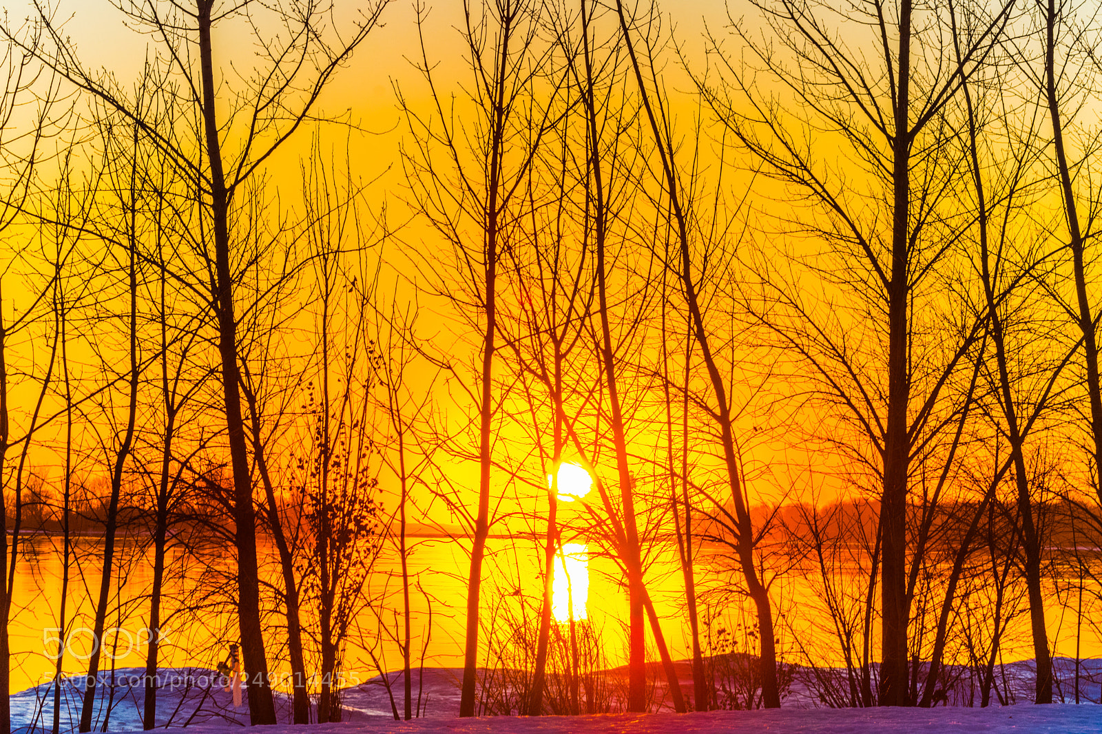 Nikon D3400 sample photo. Sunset dorval photography