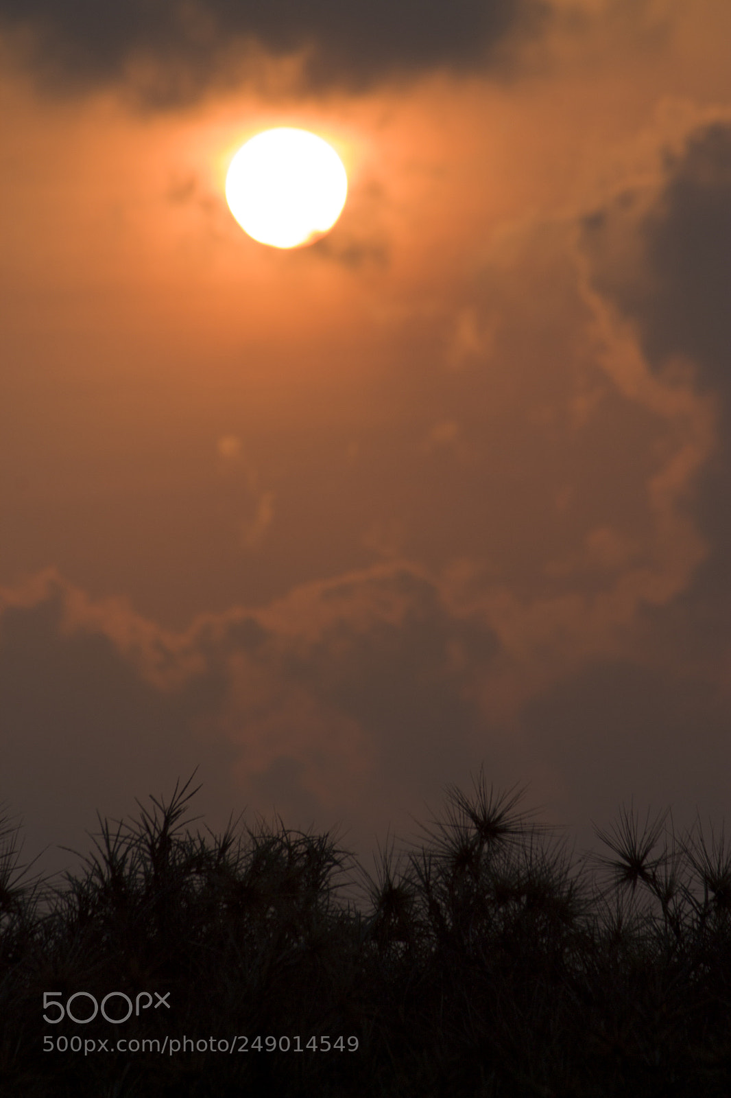 Canon EOS 1100D (EOS Rebel T3 / EOS Kiss X50) sample photo. Sunrise at pulicat, tamil photography