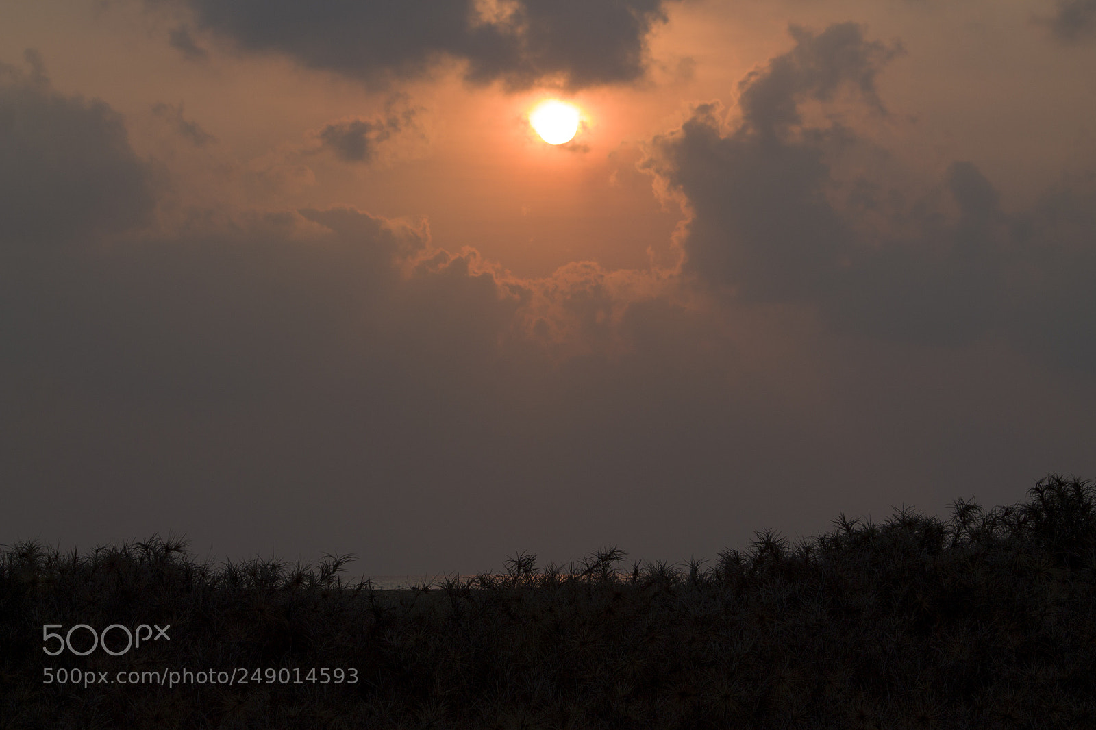 Canon EOS 1100D (EOS Rebel T3 / EOS Kiss X50) sample photo. Sunrise at pulicat, tamil photography