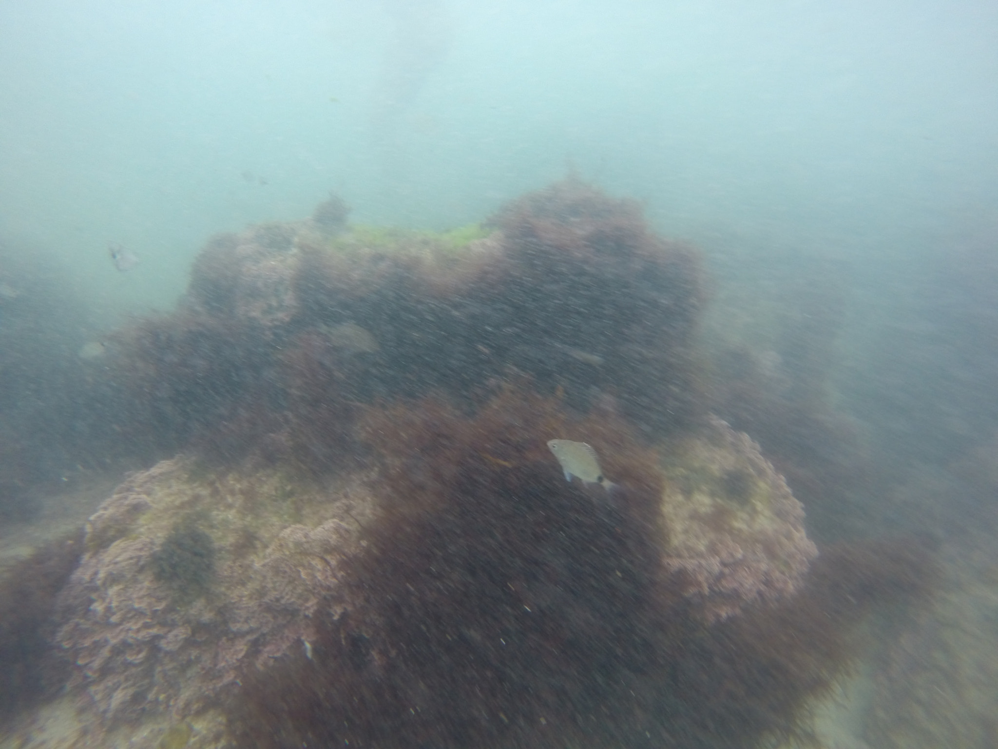 GoPro HERO3+ Black Edition sample photo